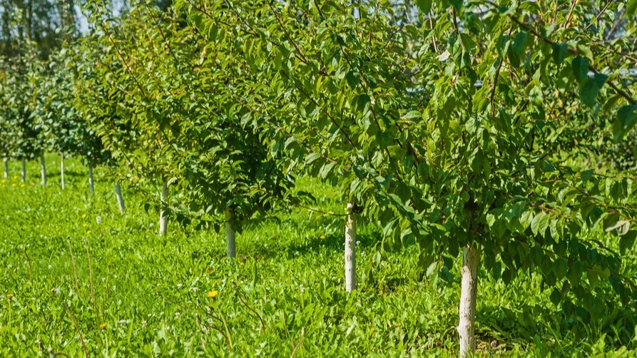 Результат правильной обработки