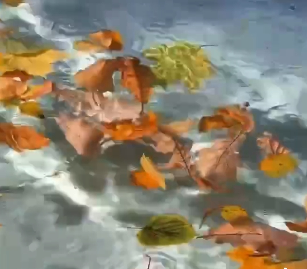 Скрин из интернета