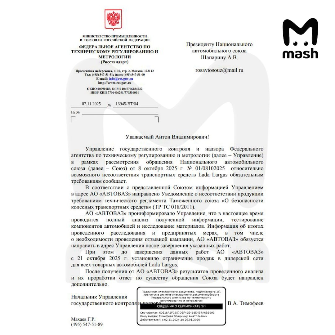 Фото: Mash  📷
