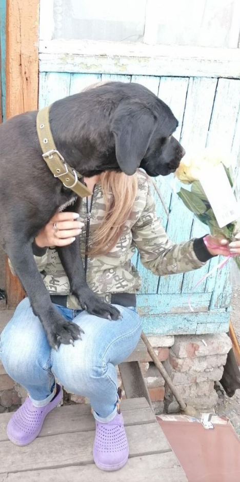 Осязание - вот с помощью чего Багира познает мир