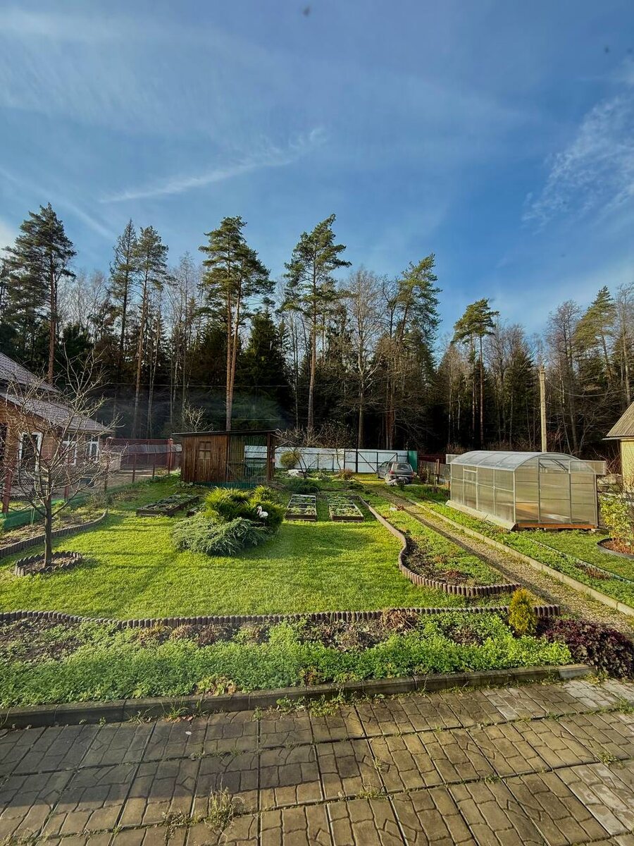 Начало ноября в моем соду. 2025