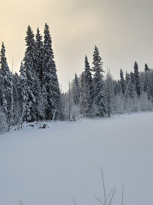 Скоро у нас