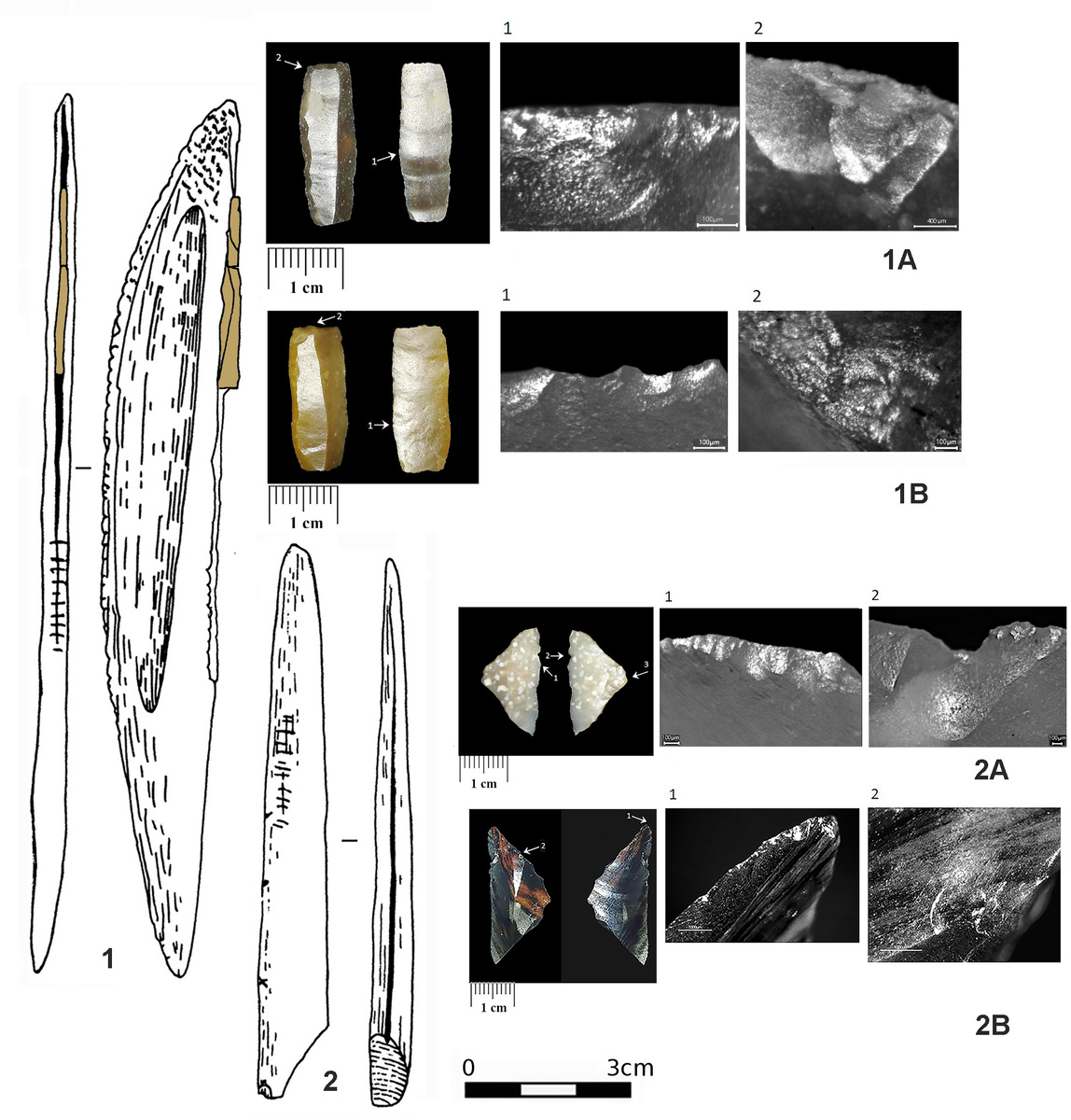 Костяной нож из грота Сосруко, 1А и 1В — геометрические микролиты в виде прямоугольников и макрофотографии следов их использования. 2 — фрагмент костяного дротика из грота Сосруко и геометрические микролиты в виде треугольников с макрофотографиями (2А, 2В), которые могли быть боковыми вставками. Источник: Любовь Голованова, Елена Ревина