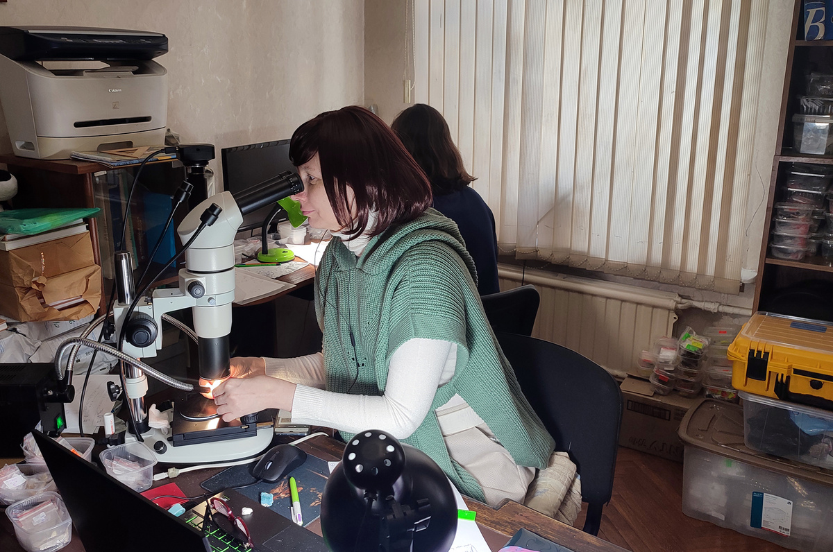 Трасологическое изучение орудий. За микроскопом — Елена Ревина. Источник: Любовь Голованова