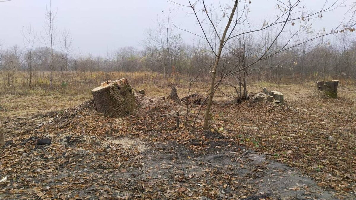    Врио министра природных ресурсов Курской области Максим Левин обратился к подрядчику Боевки в Курске