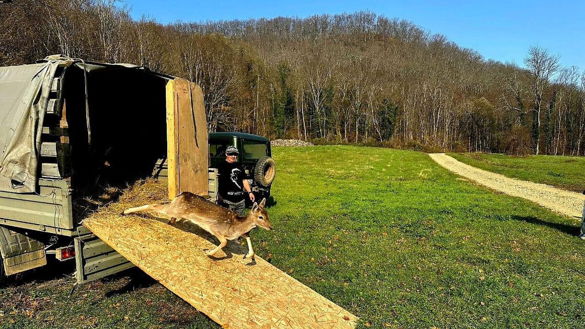    Фото: t.me/mpr_kk