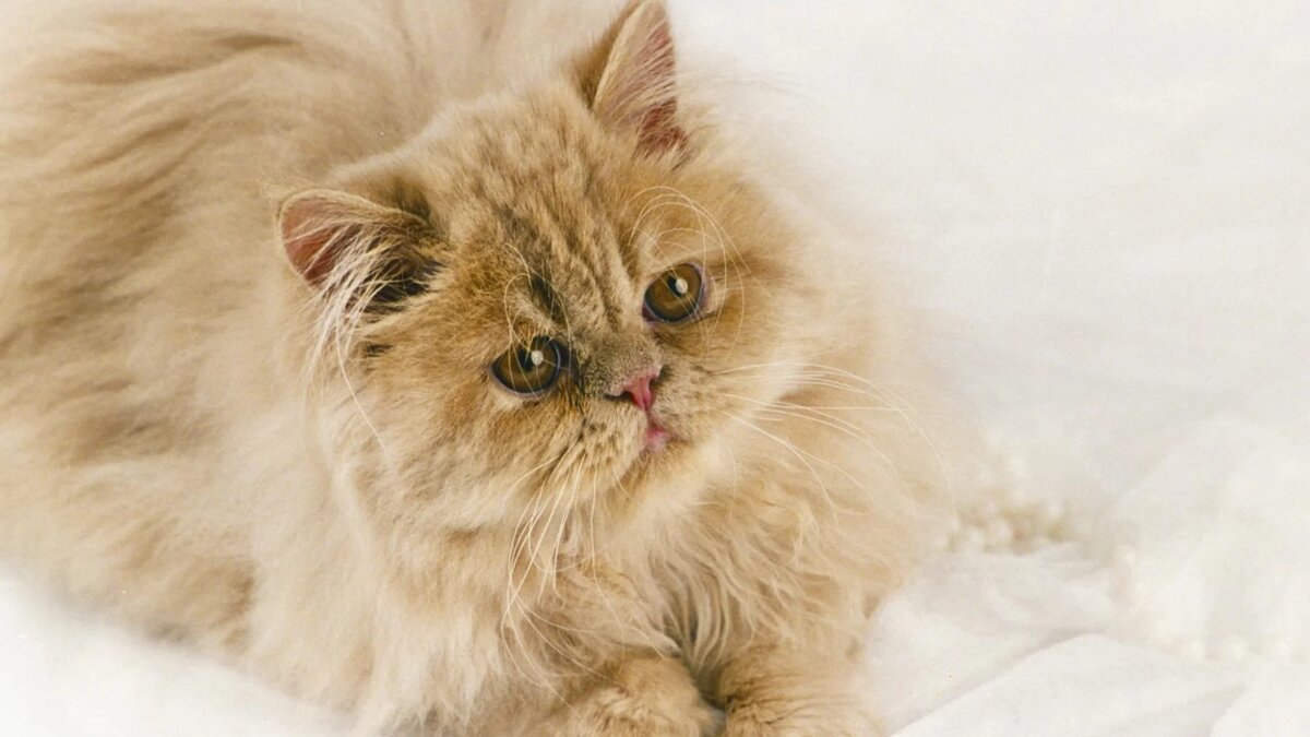 Источник: Legion-Media
