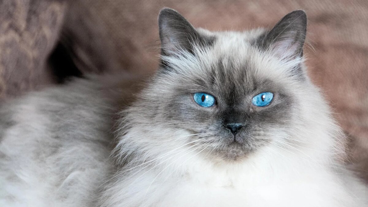 Источник: Legion-Media
