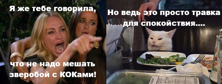 Наглядное пособие по фармакологии, или почему ваша "травка для спокойствия" может устроить революцию в личной жизни. Шутки шутками, а КОКи и зверобой — одна из самых опасных пар в фармации.