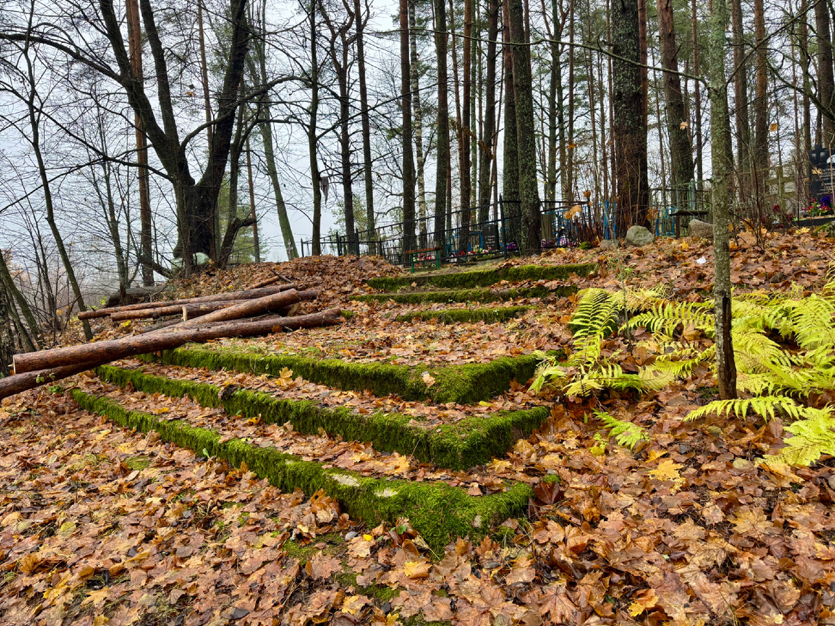 Старое Полянское кладбище, фото автора