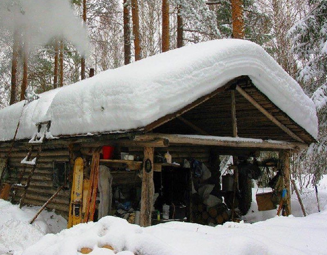Премия меткому охотнику