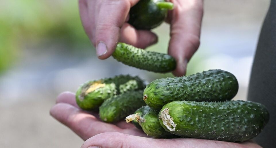    Jens Kalaene/dpa / www.globallookpress.com