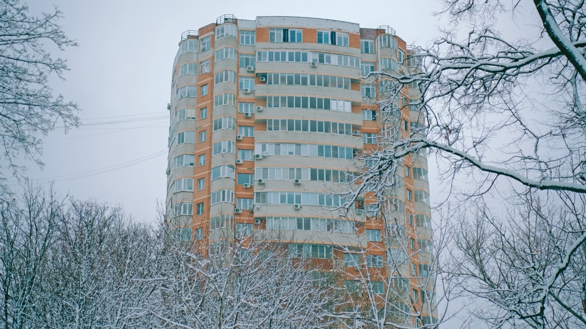Фото: Светлана Мулыкина📷
