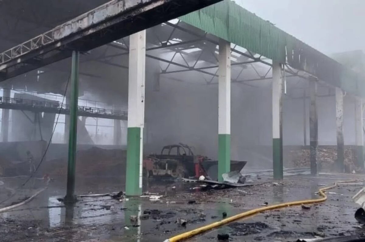    На Украине получила повреждения первая в стране крупная ТЭС на биомассе