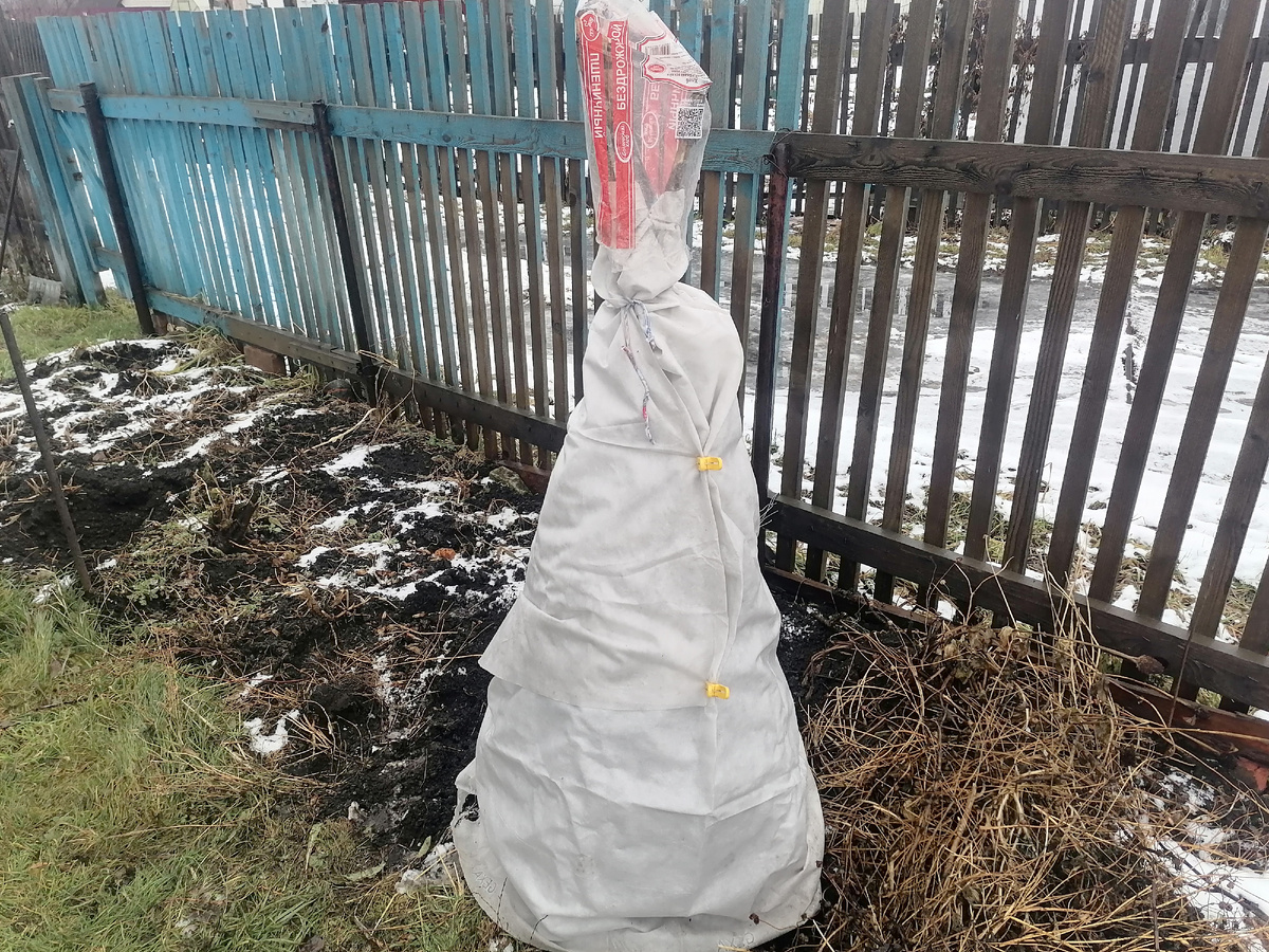 В прошлом году было хуже)