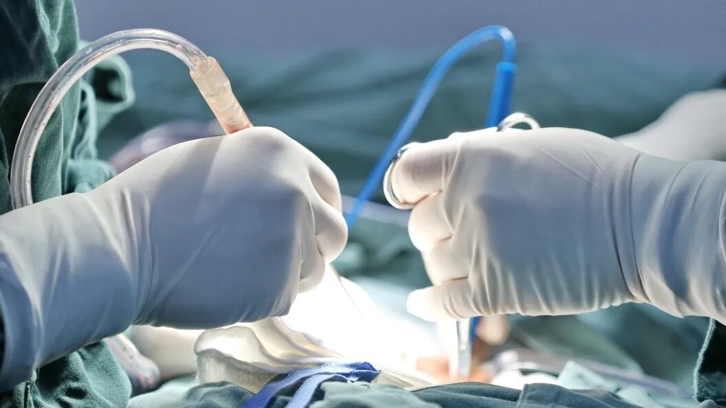    © Jin Peng/Globallookpress