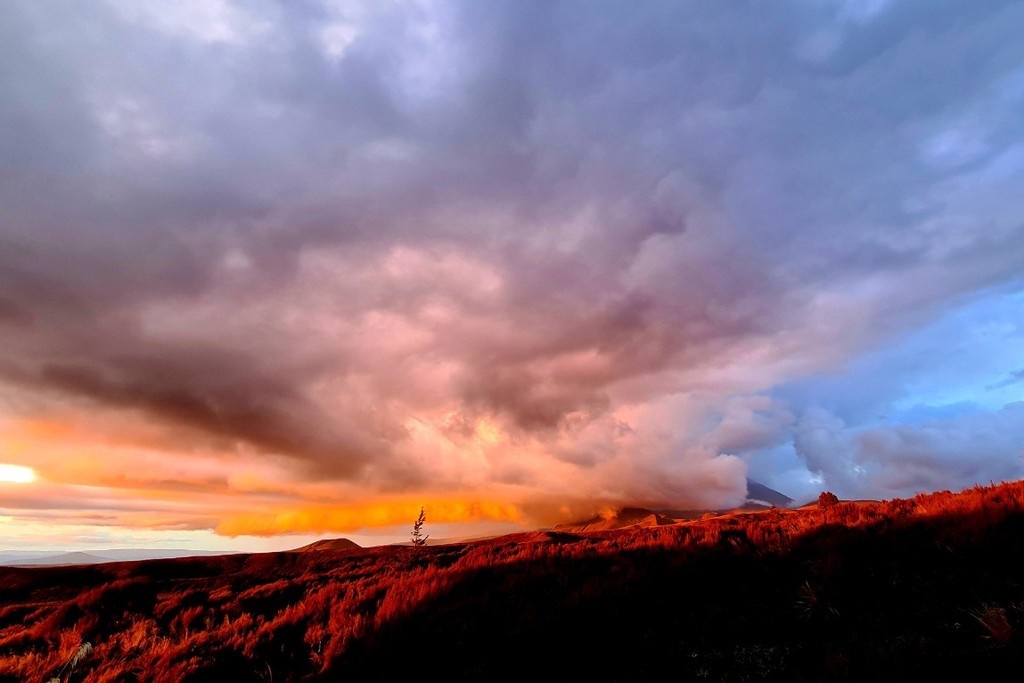    Фото © X.com / @kat_clay