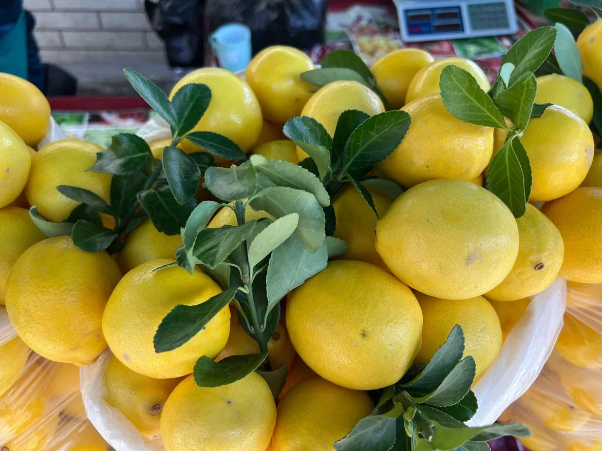 Узбекские лимоны. Полный восторг! Фото автора