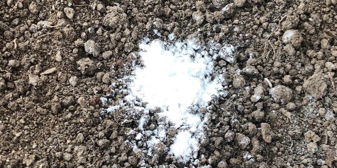 Сыпьте хоть по снегу! Это удобрение осенью важнее всех! Рейтинг лучших удобрений: какие, сколько и когда нужно