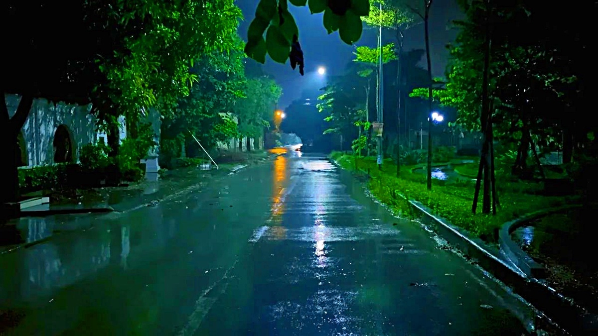 Фото из интернета.