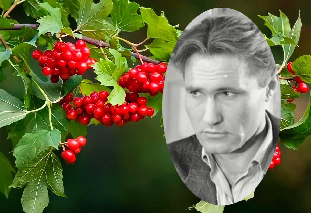 Судьба, в которой личная трагедия и народная любовь сплелись в один узел