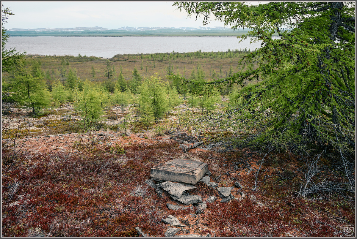 Вид на реку Лена со старого якутского кладбища у исчезнувшего поселка Булун. Устье реки Булун. Якутия. Фото: Михаил Рябинин