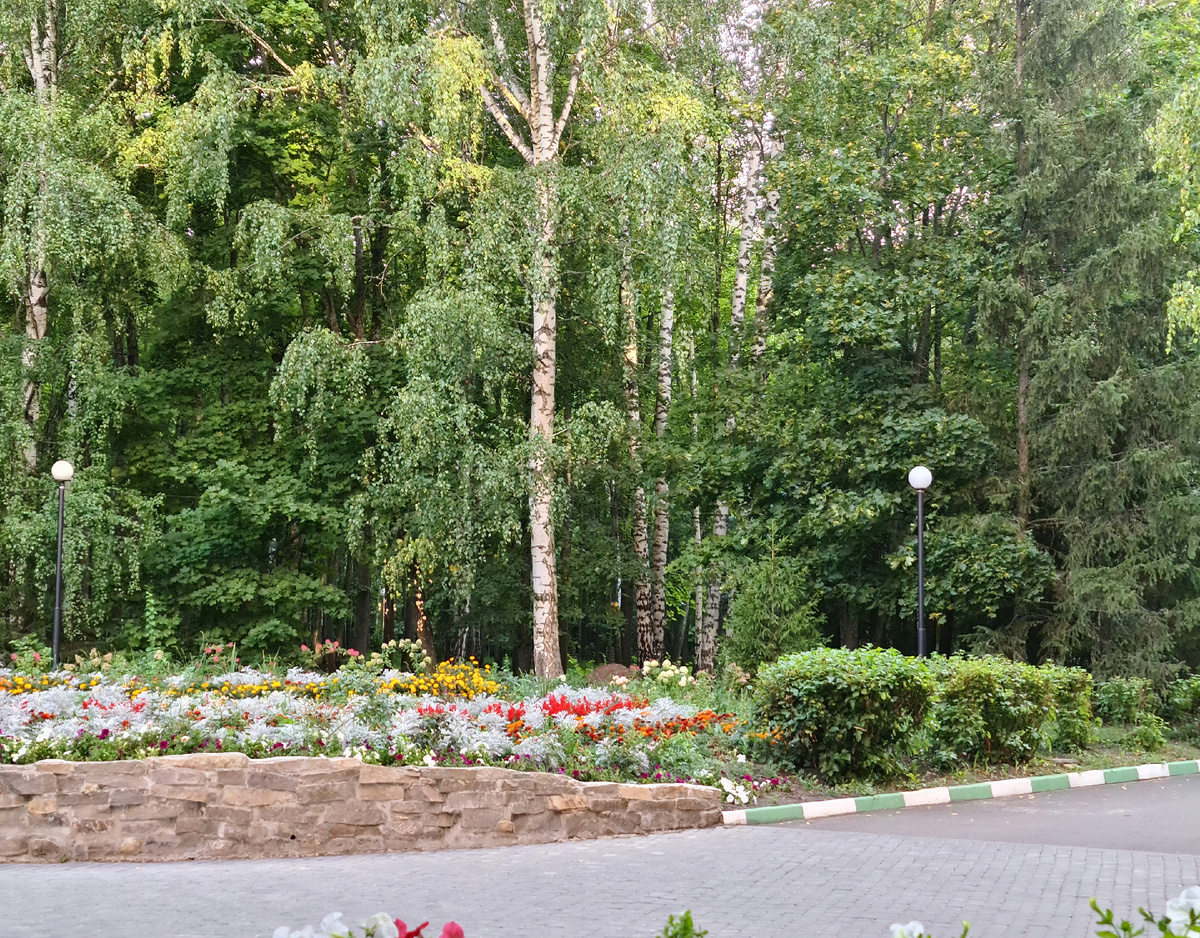 Такие цветы тут нынче сделали аж приятно смотреть и любоваться на них и их так много