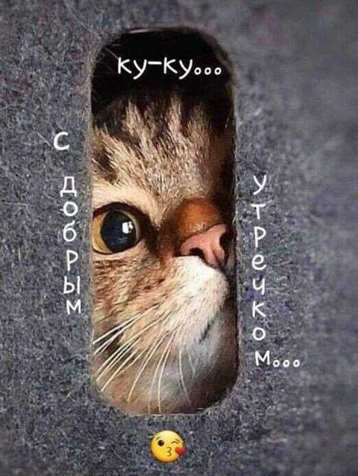 Вы уже проснулись? Тогда мы идём к вам!