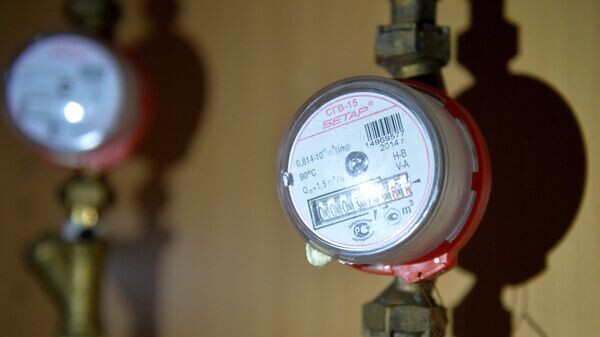    © РИА Новости . Максим Богодвид