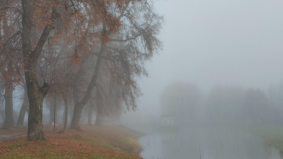 Фото автора. Бульвар Козиха