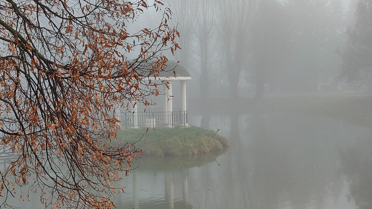 Фото автора. "Визитная карточка"