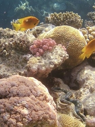 Фото Александ Бут