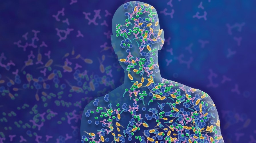 🦠 «99 % генов внутри вас — не ваши: как кишечник управляет весом и кожей»