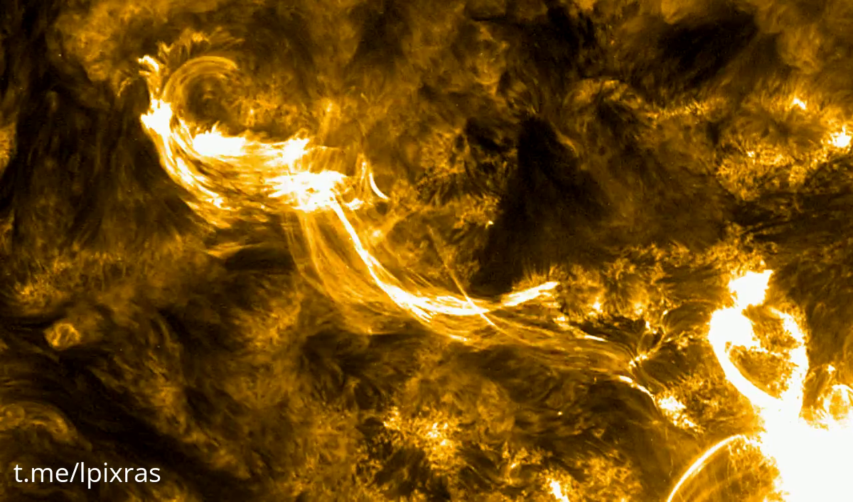 Изображение: Лаборатория солнечной астрономии ИКИ РАН  📷
