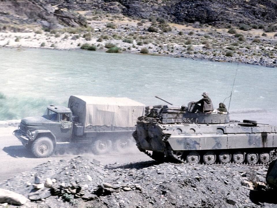 фото из интернета.