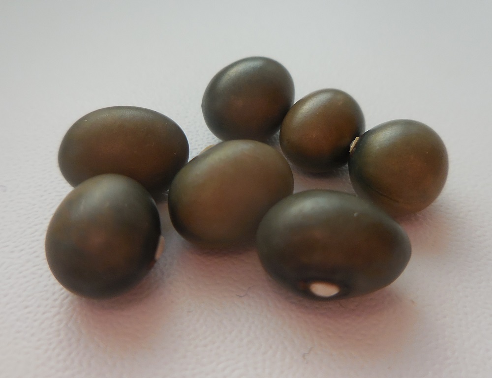 Нефритовая Крепость 