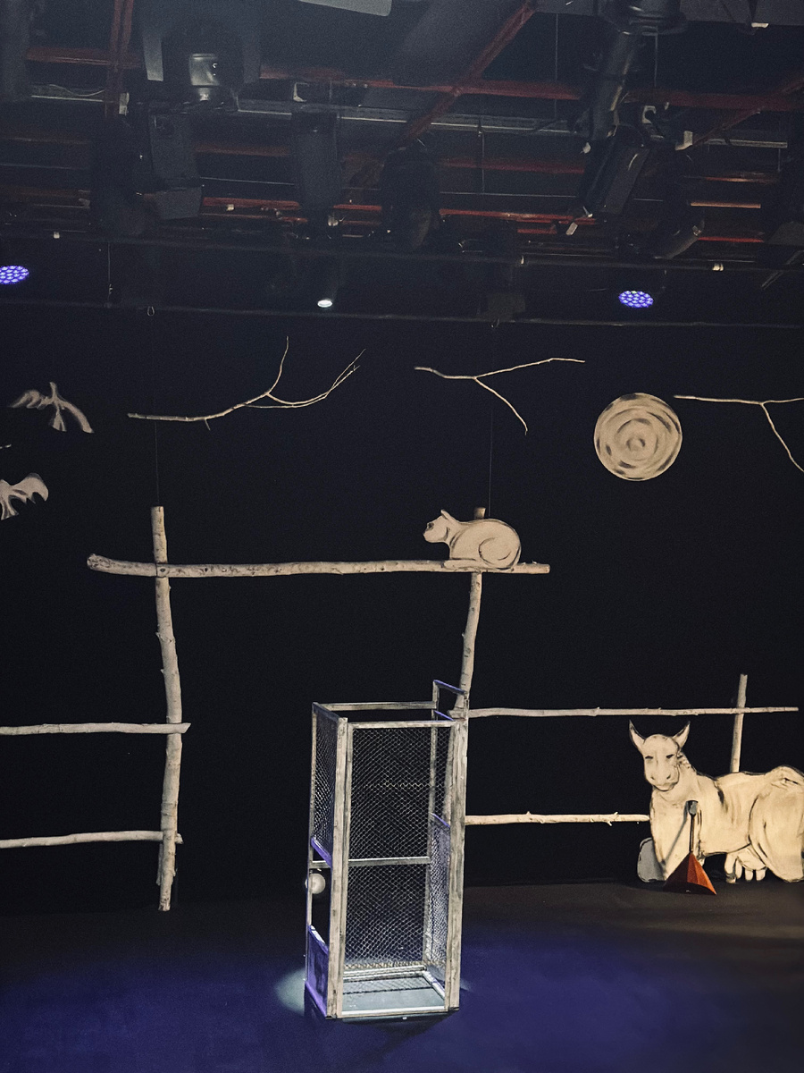 Фото автора канала