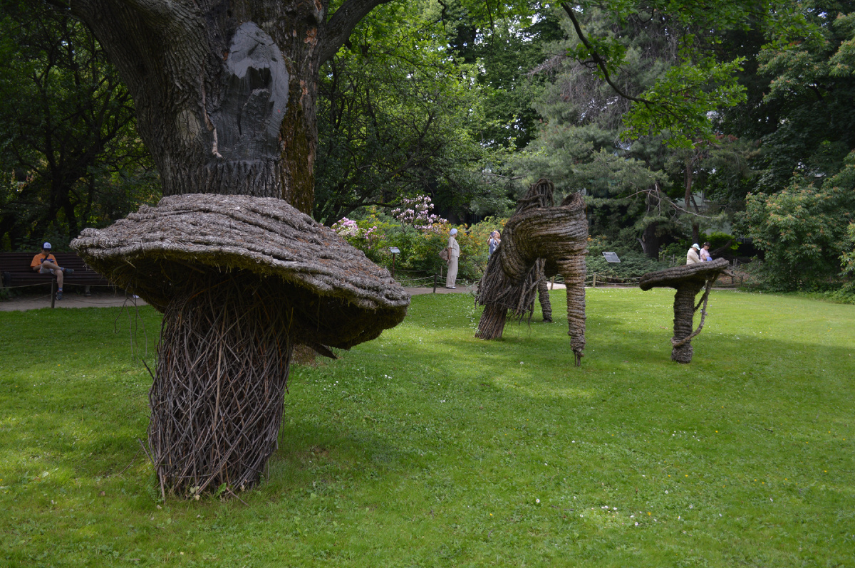 В "Аптекарском огороде". Все фотографии в статье мои