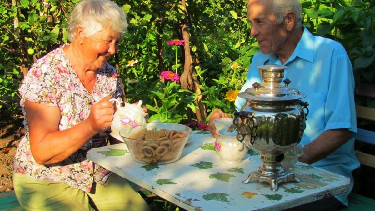 Три шага, которые сэкономят пенсионеру нервы и деньги перед дачным сезоном