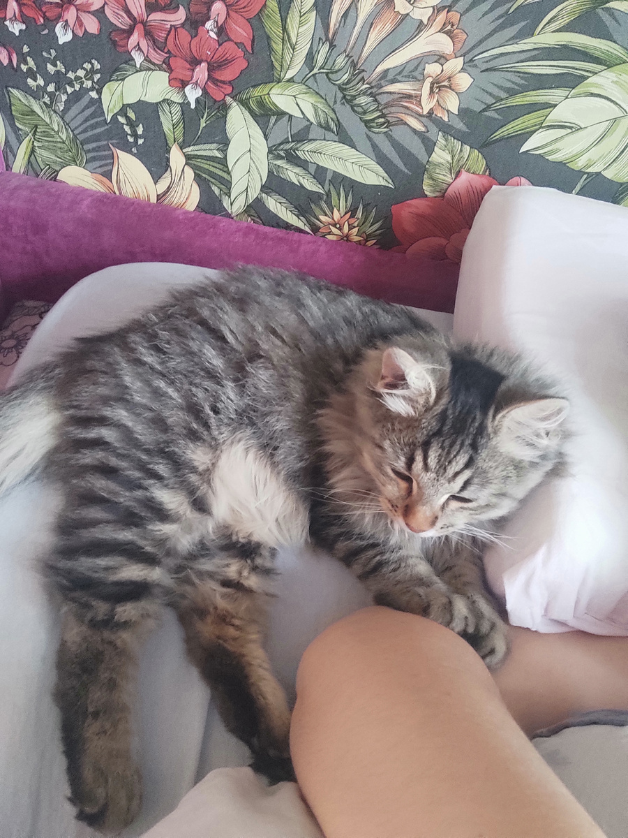 Спи, моя хорошая, высыпайся. 