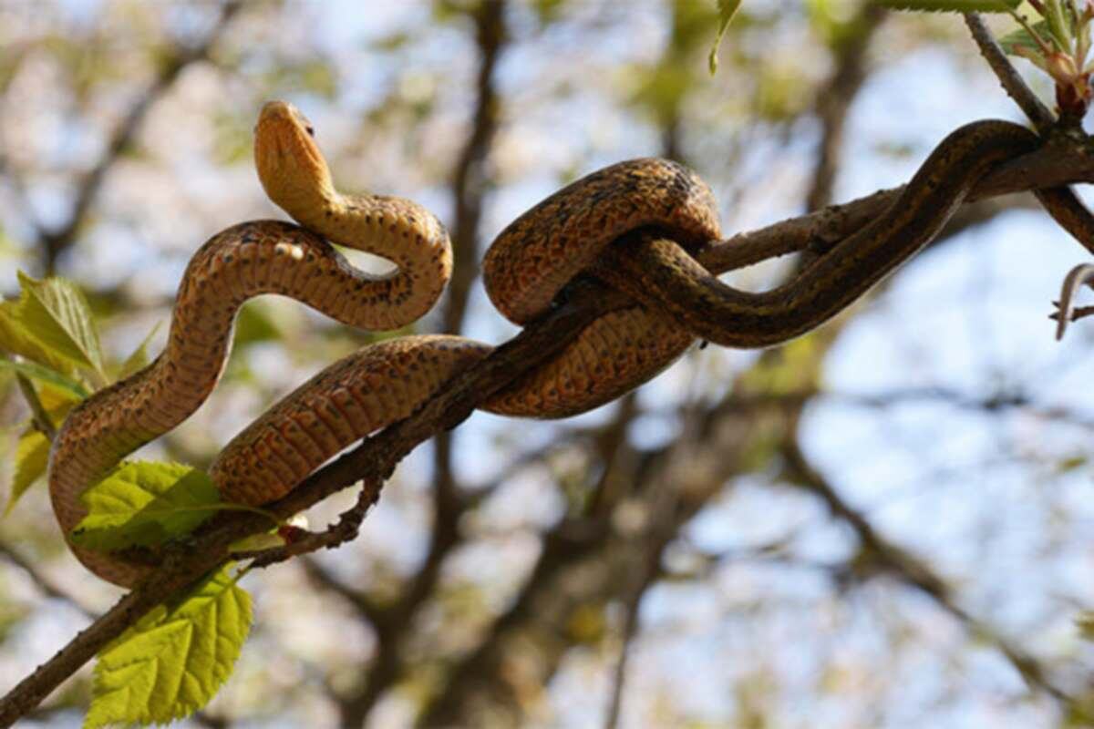    Фото: «Квант разума», источник: kvant_razuma