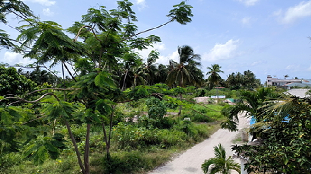    Maksim Konstantinov/Globallookpress