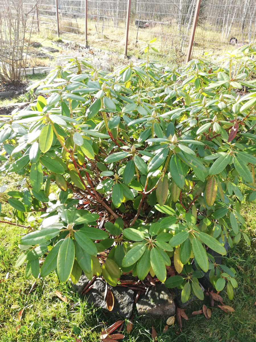 Утро субботы