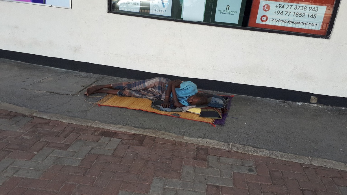 Фото из личного архива. Шри-Ланка 2019 год