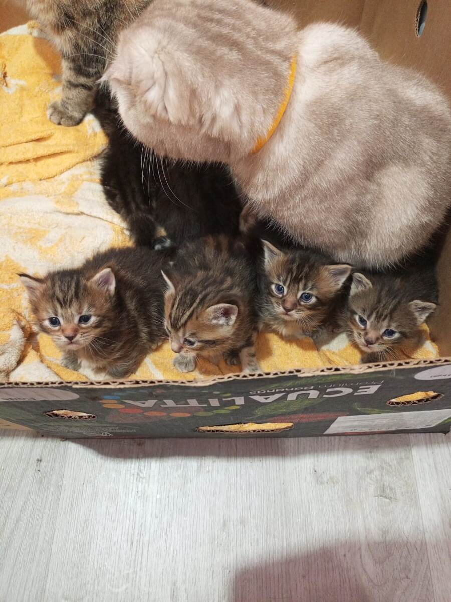 Бабушкин присмотр и такой большой мир за стеной