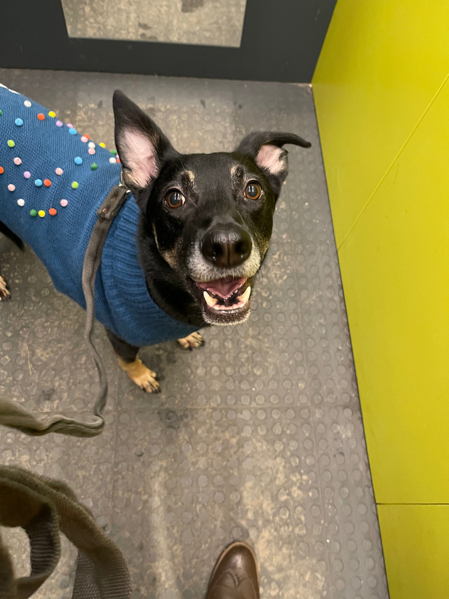 Вот с такой мордахой едет в лифте и ждет выхода! Фото: Михаил Лайф Влог