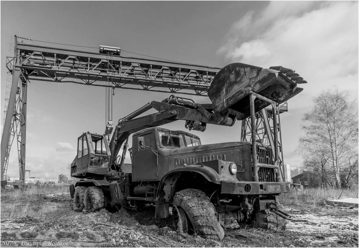 Фото из открытых источников 