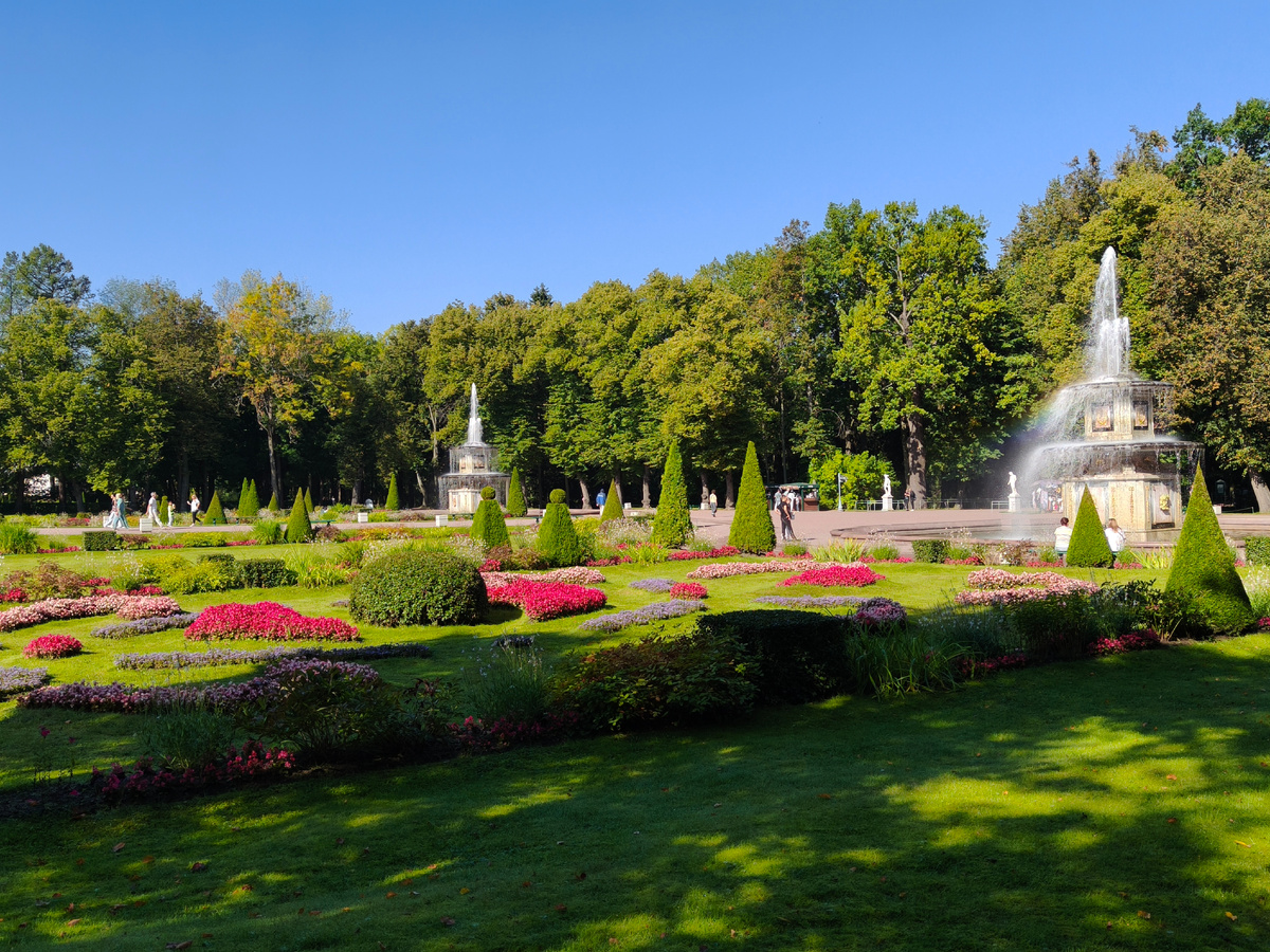 Петергоф. 8 сентября 2025 года.