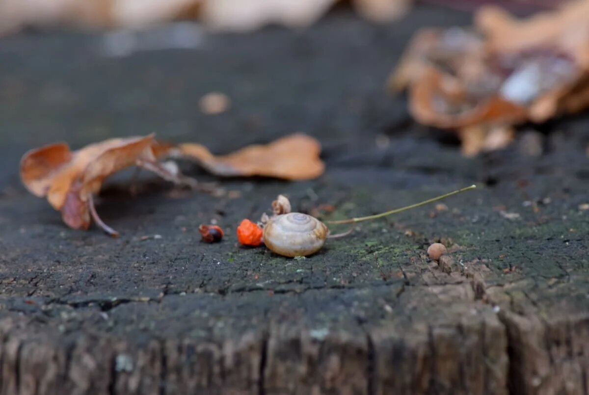 Фото: UfacityNews.ru