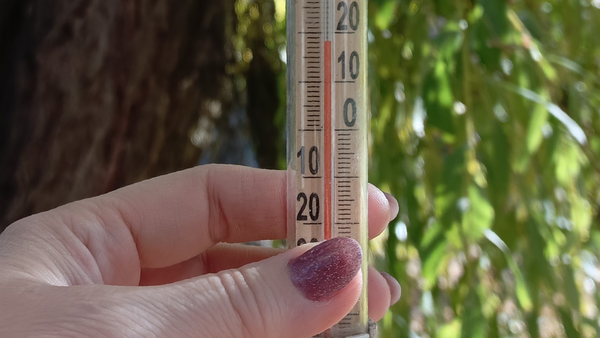 9 ноября. 14:00. Температура в тени:)